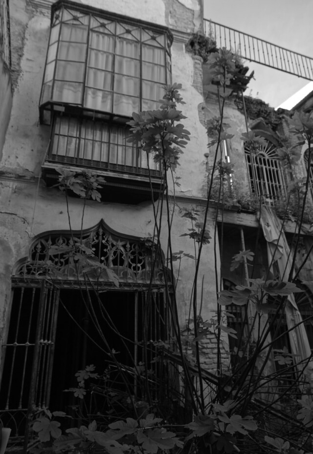 pyg-historia-testimonio-2